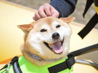 にっこり笑顔で楽しそう
