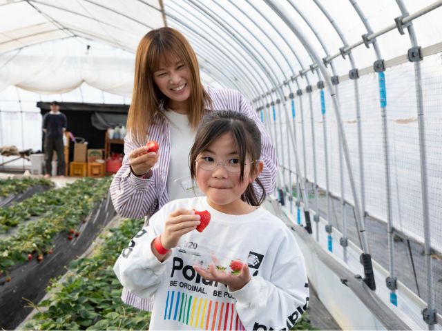 たっぷり60分間食べ放題でゆっくり過ごせます。