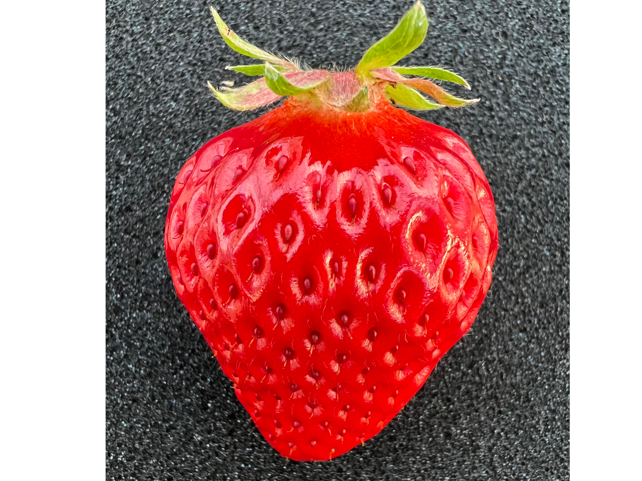 川崎で苺狩り♪】30分食べ放題♪最大6種類が楽しめる！完全座席指定で