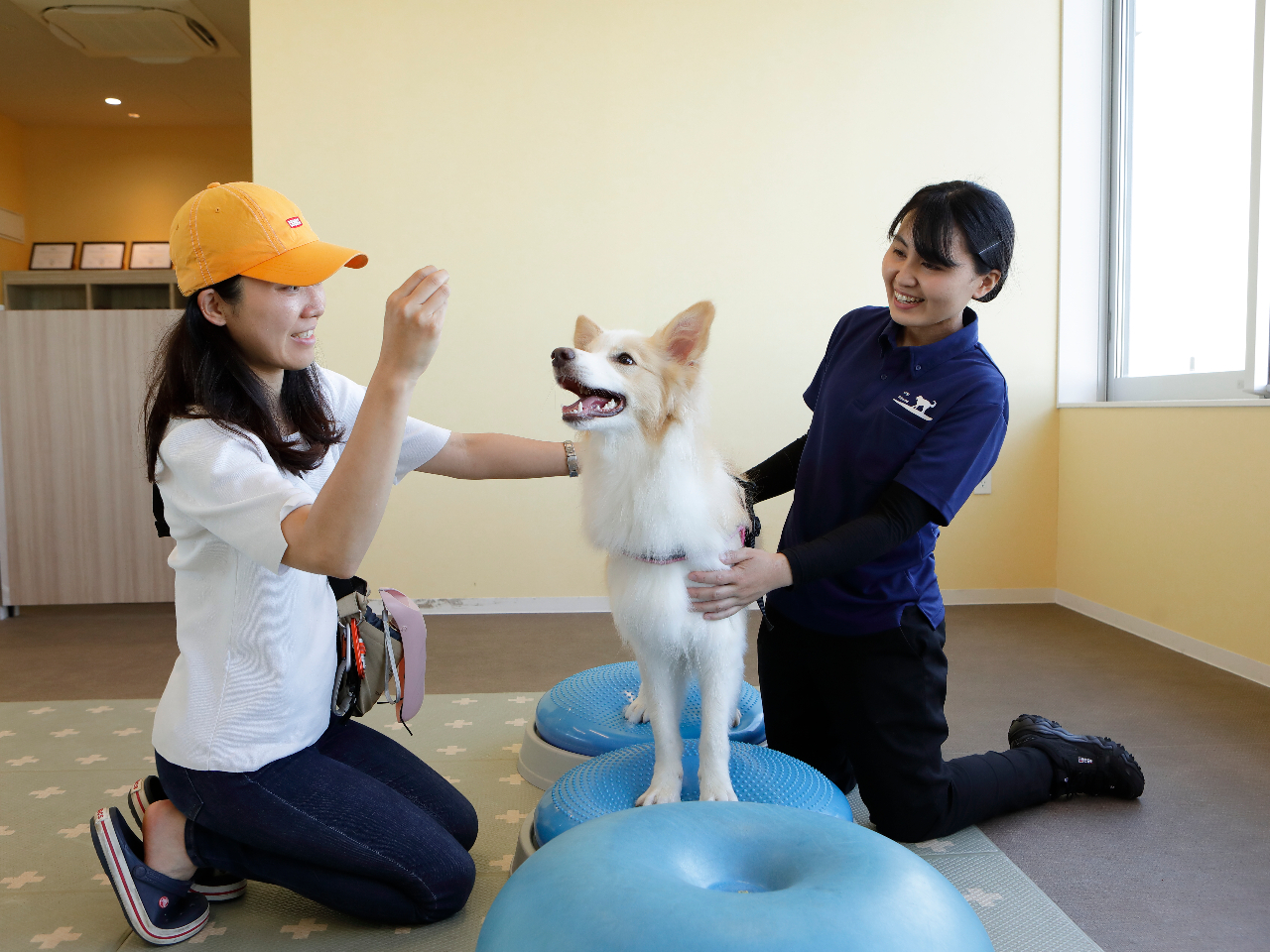 ���W�[�i���]�[�g����̎ʐ^2