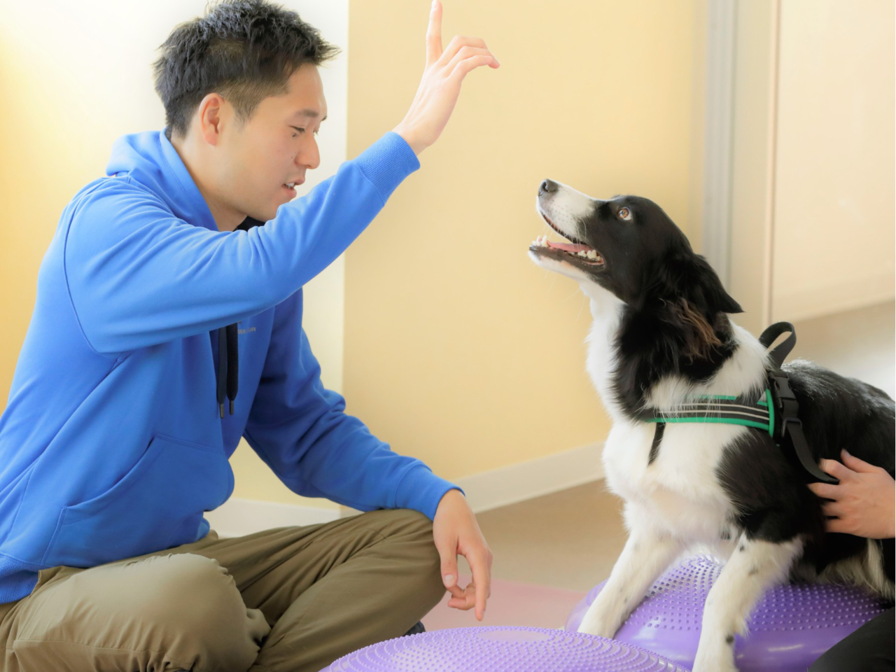 ���W�[�i���]�[�g����̎ʐ^4