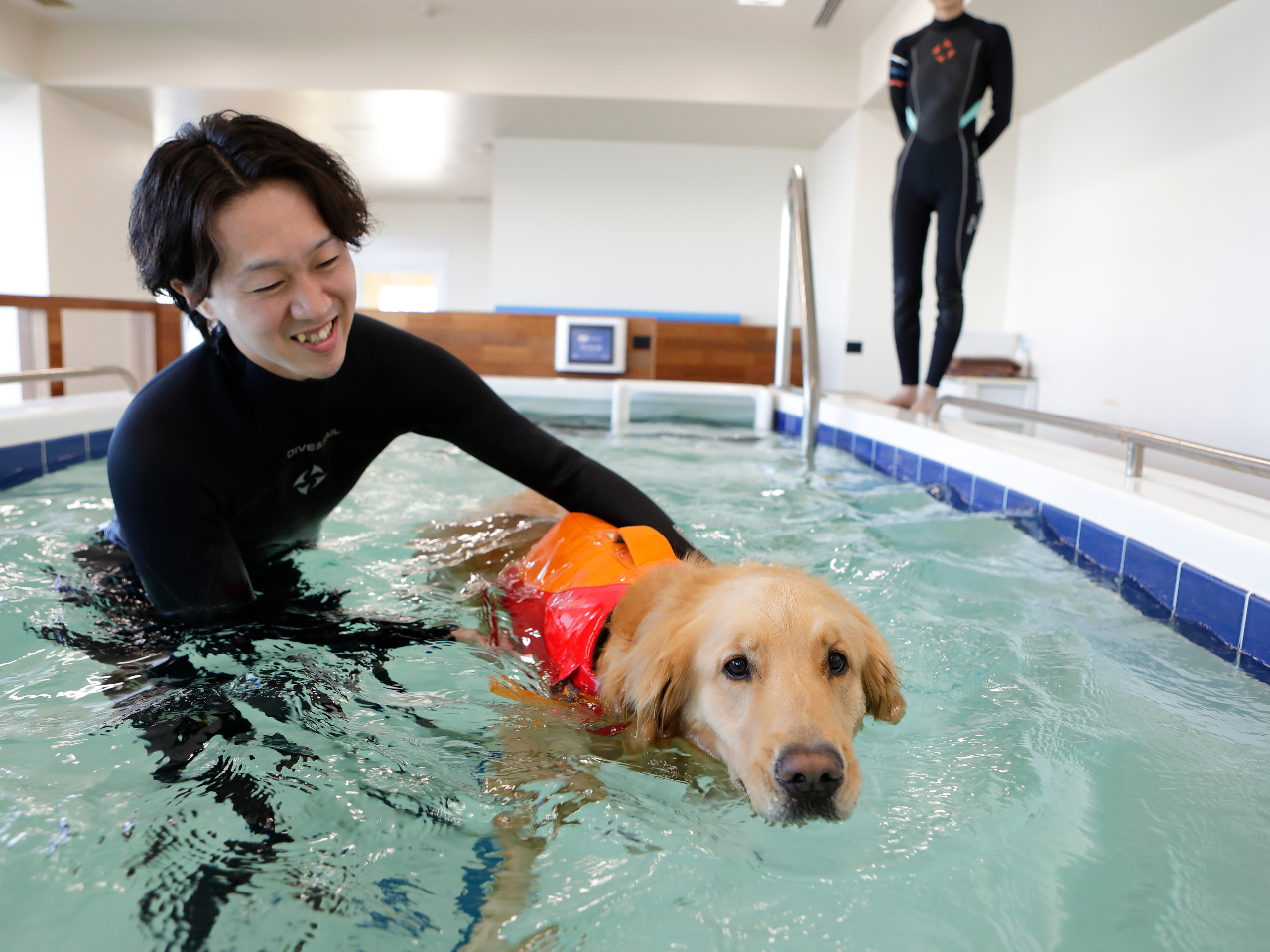 プール【千葉/鴨川】専属トレーナー指導のドッグフィットネス★愛犬の健康におすすめ...