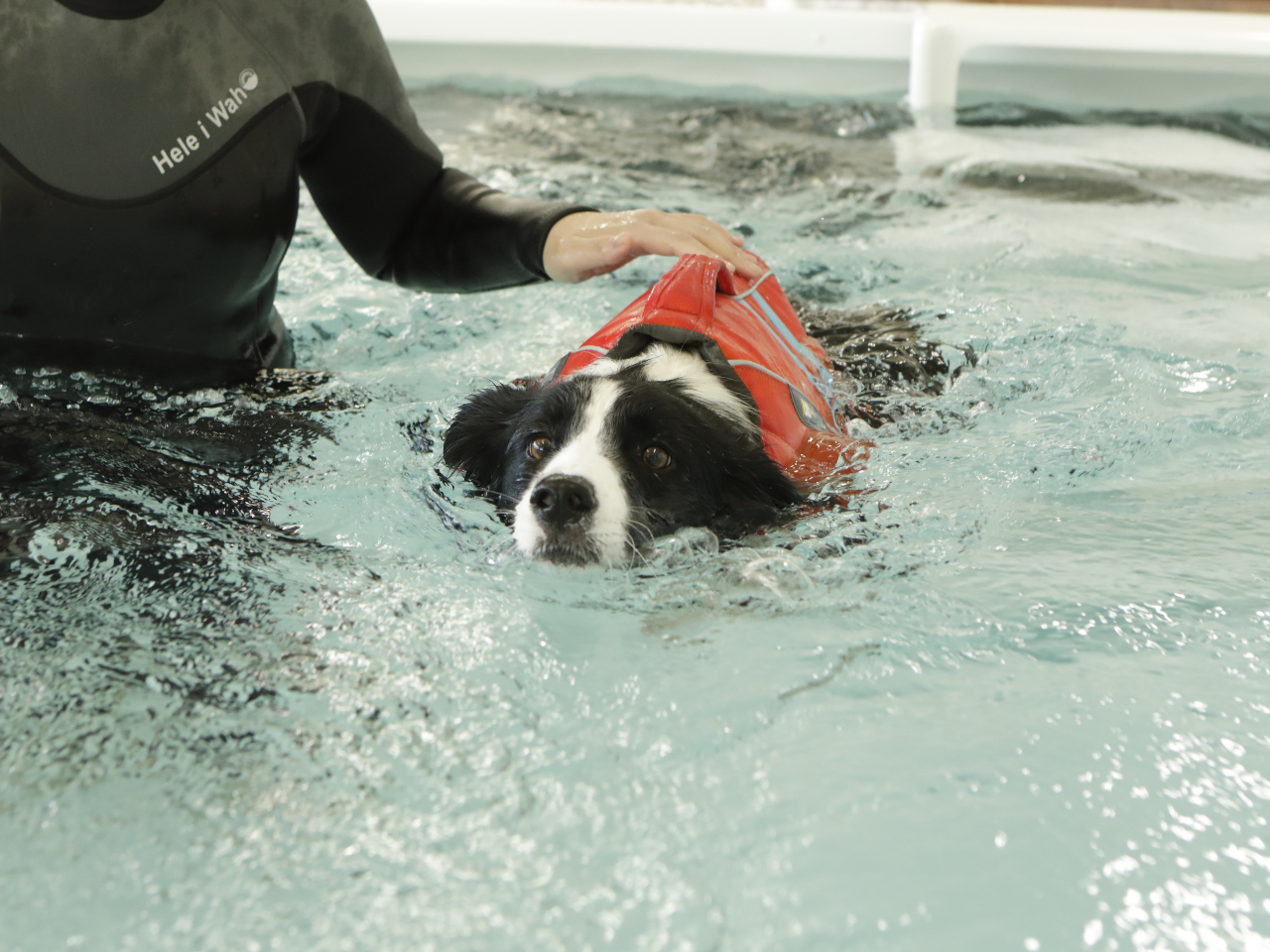 ���W�[�i���]�[�g����̎ʐ^3