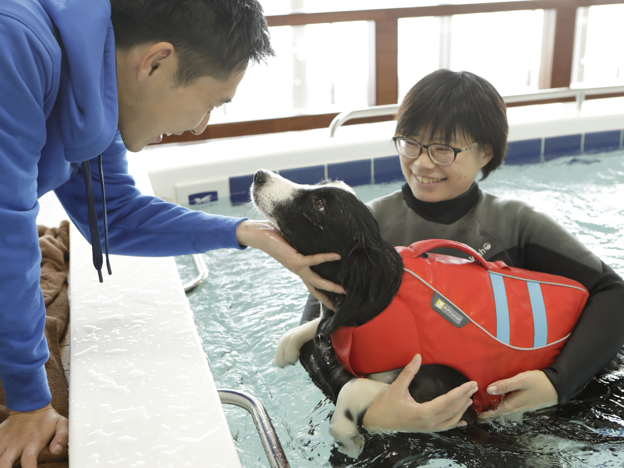 ���W�[�i���]�[�g����̎ʐ^4