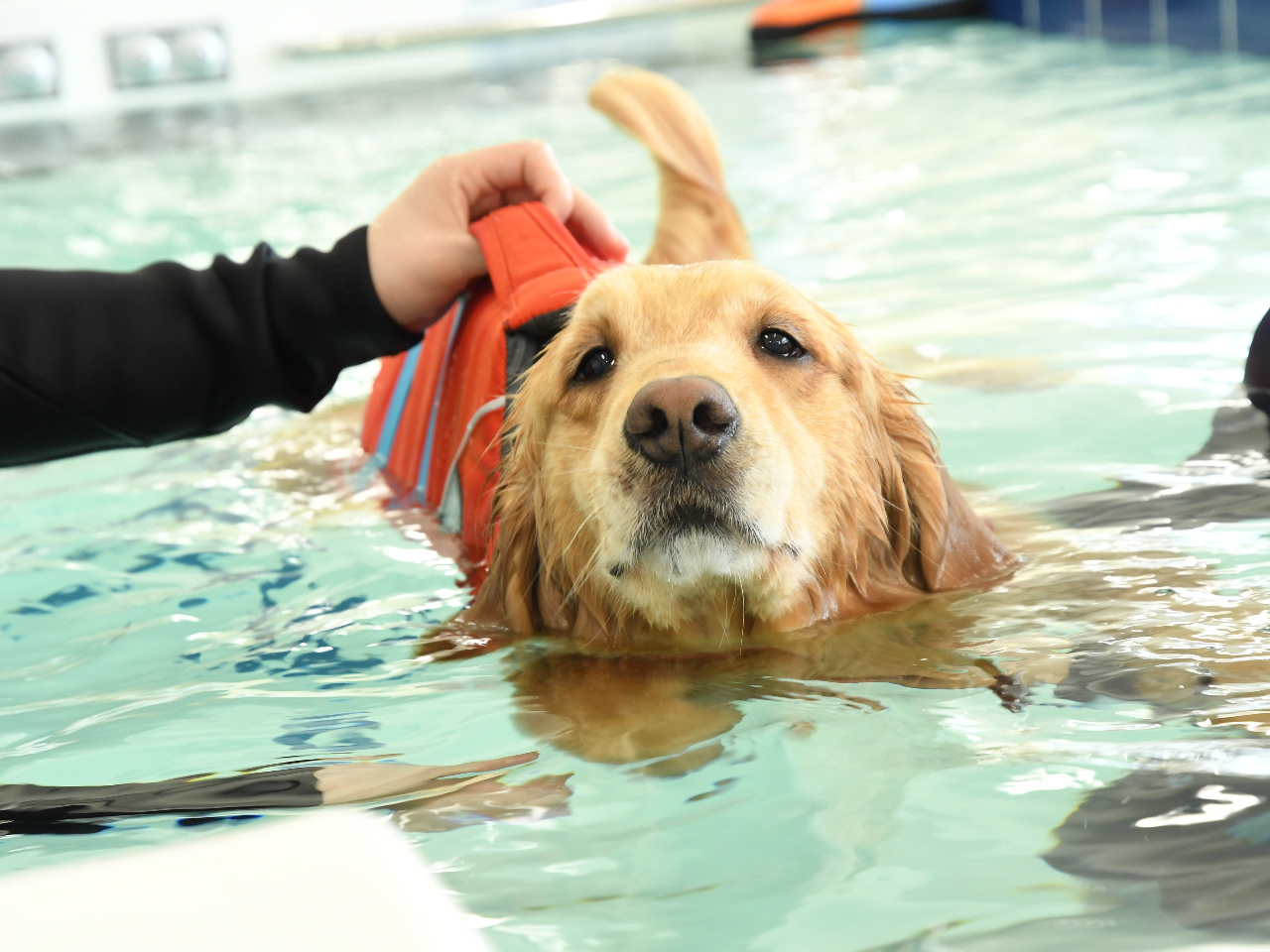 ���W�[�i���]�[�g����̎ʐ^2