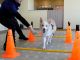 ポールを跨いで関節の曲げ伸ばしの練習!小型犬はフラフープをしようしましょう。