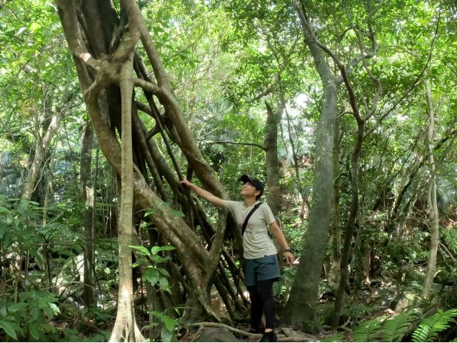 ジャングルの中は緑あふれて珍しい植物もたくさん!