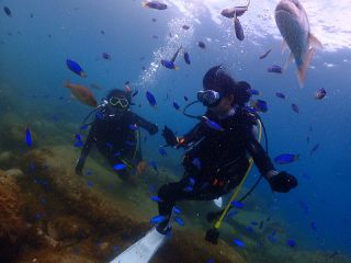 親子で体験ダイビング。魚群に巻かれる娘。水槽の中にいる感覚で楽しかった。次はライセンス取得しに来ると言ってくれました。