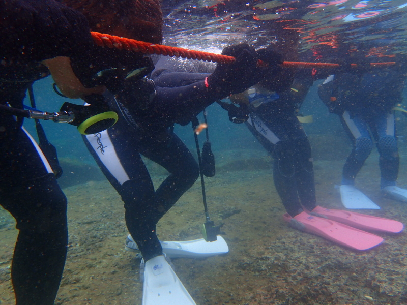 �����ċz�͂���������K���Ȃ��ƂˁB