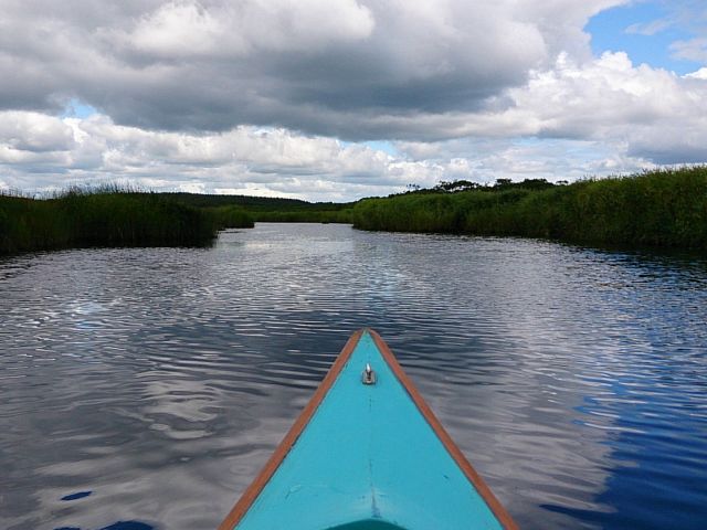 カヌーならではの低い目線で自然を満喫!