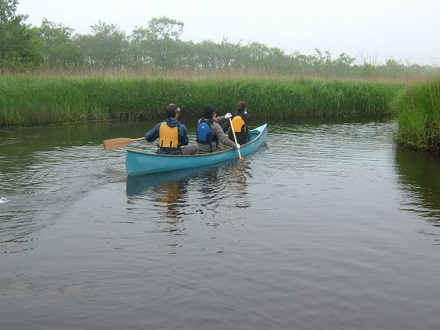 ガイドも同乗しますので、初心者も安心です!