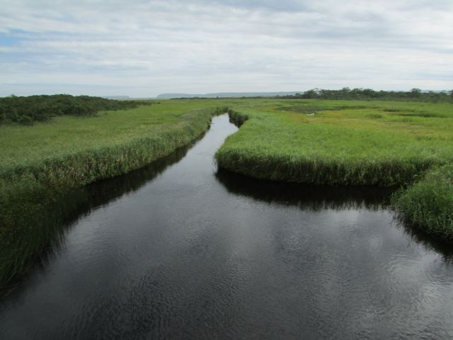 琵琶瀬川の上流付近