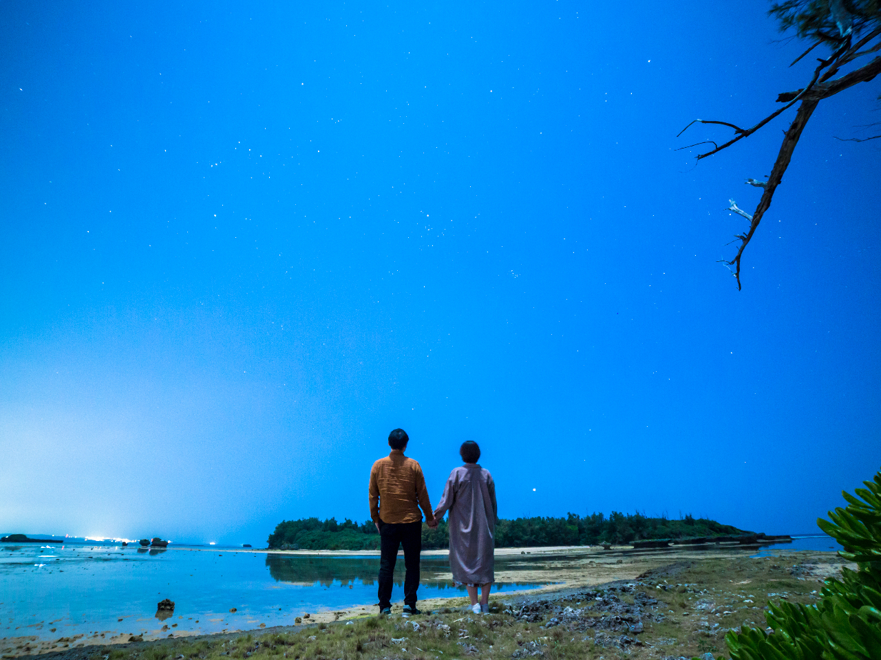月光の光に照らされる幻想的なフォトツアー
