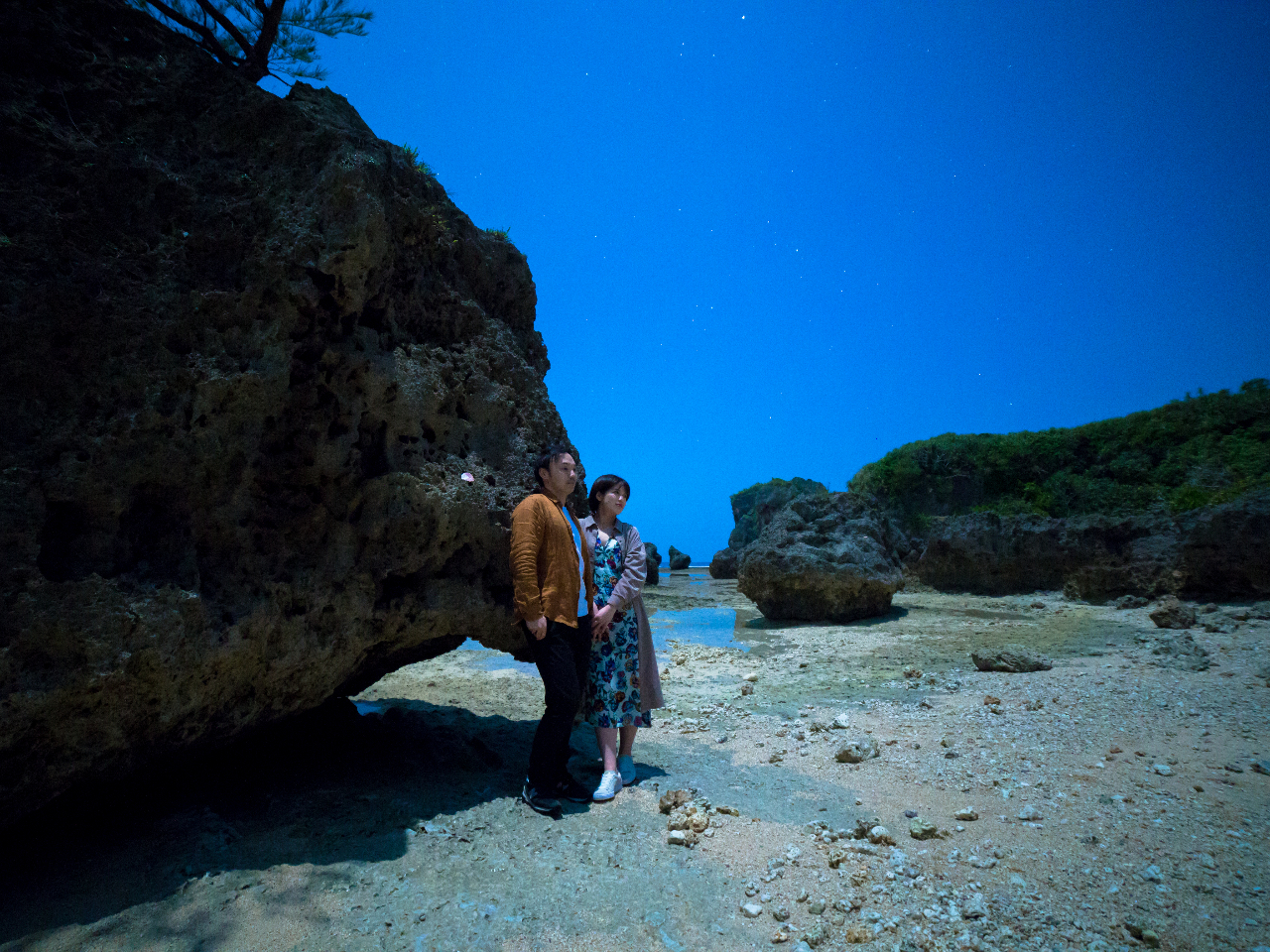 D_炩ȃRgXg𐶂ݏoAԂƂ͈قȂ̌Ǝvo̎ʐ^ƂȂ܂B