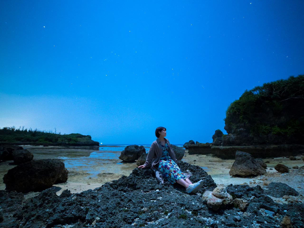 ͑zĂ邭iF܂ŎBeł܂