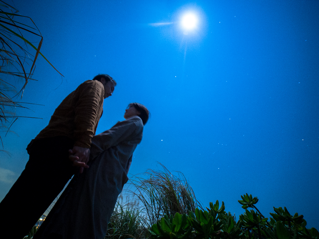 voɎčƎʐ^̌ɏo܂傤