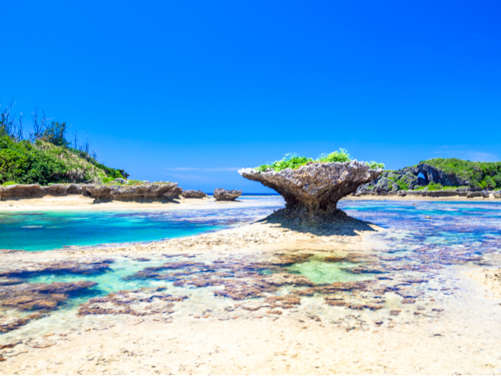 無人島の周囲は浅瀬ですがサンゴの海が広がっています。