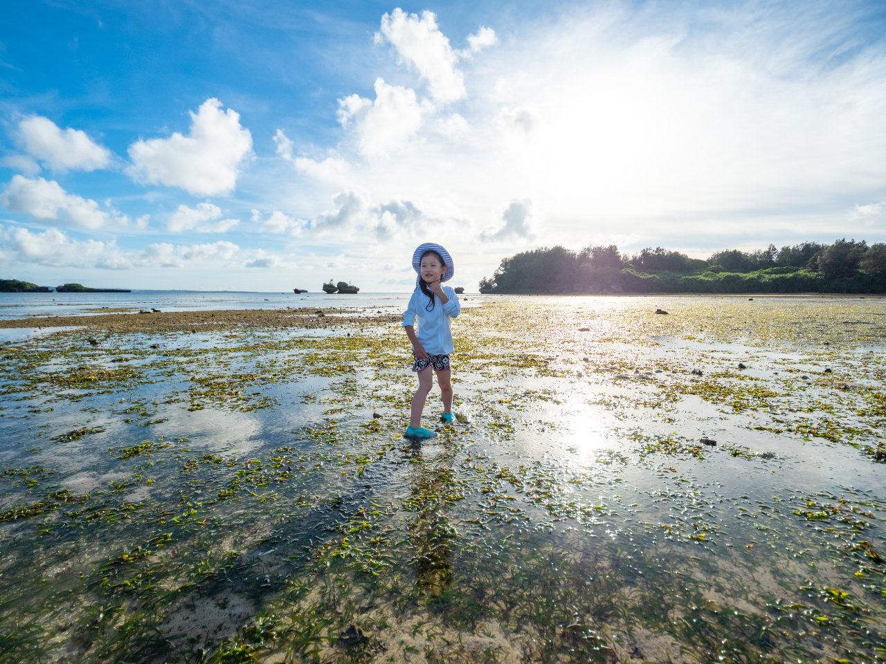 ŌꂽAǂ܂łsȔ̊CĖlցI