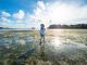 引き潮で現れた、どこまでも行けそうな美しい遠浅の海を歩いて無人島へ!