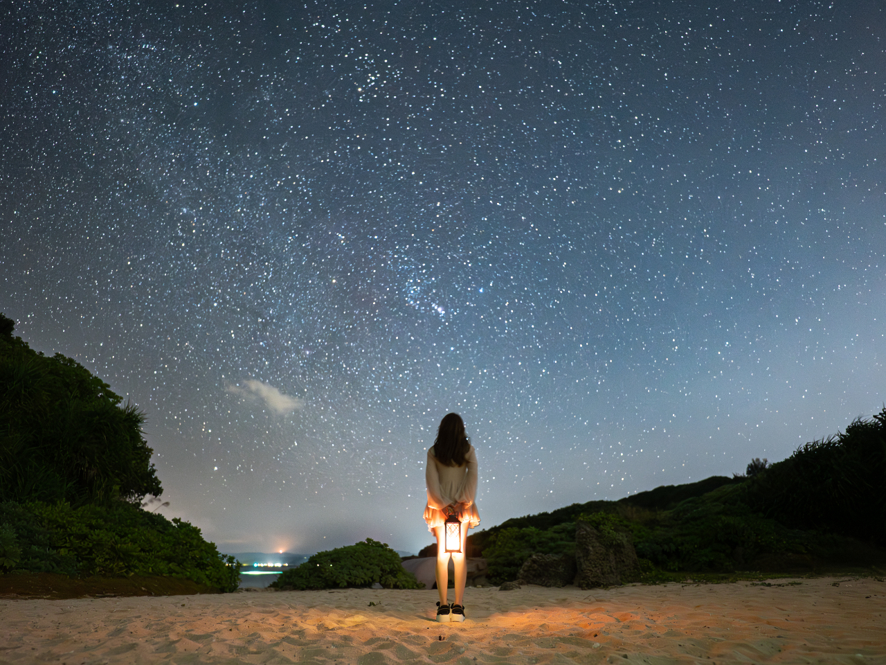 �C�ӂŔg�̉��𕷂��Ȃ���A���V�̐���ƎB�e�����y���݂��������B