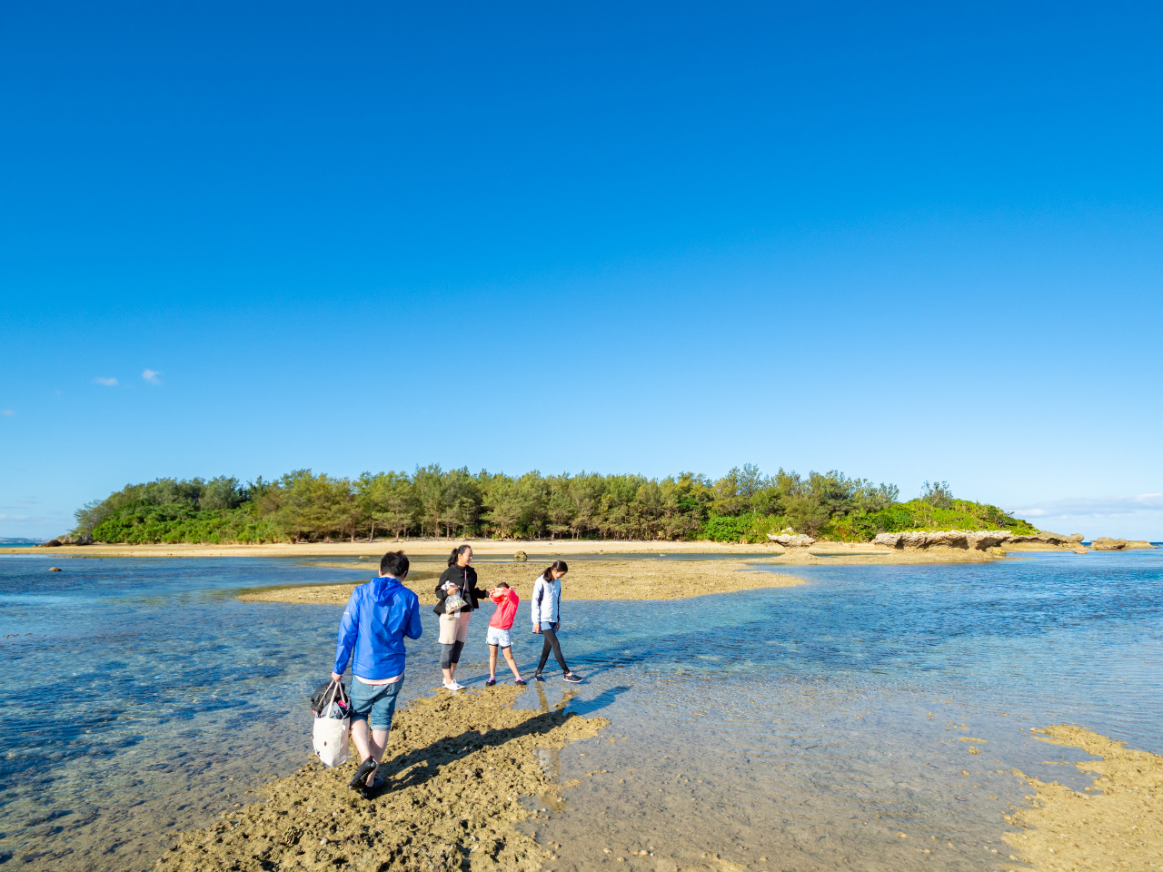 ���̖��l���ɁI�����Ȗ`���ɏo�����܂��傤�B