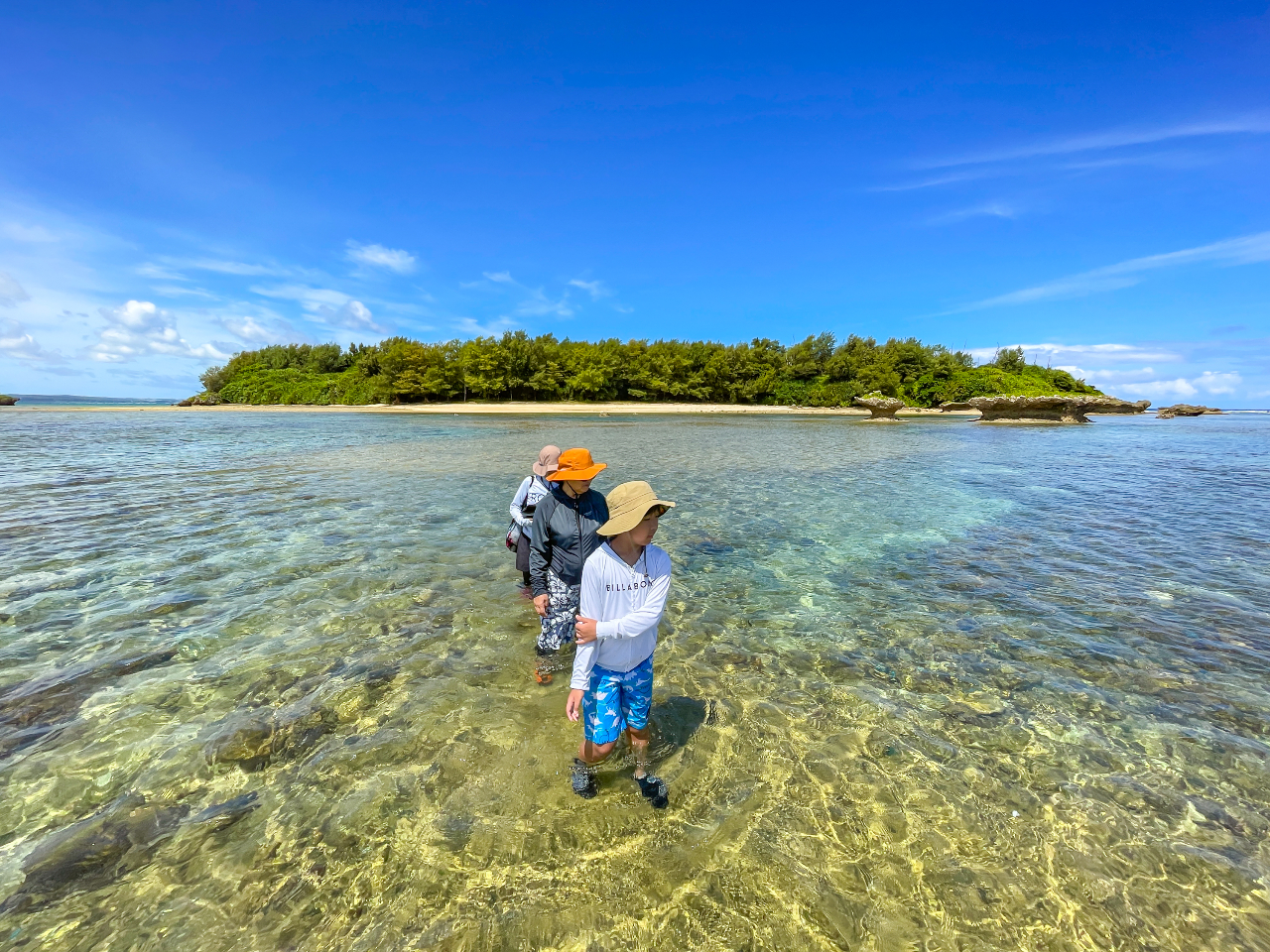 ���̖��l���ɁI�����Ȗ`���ɏo�����܂��傤�B