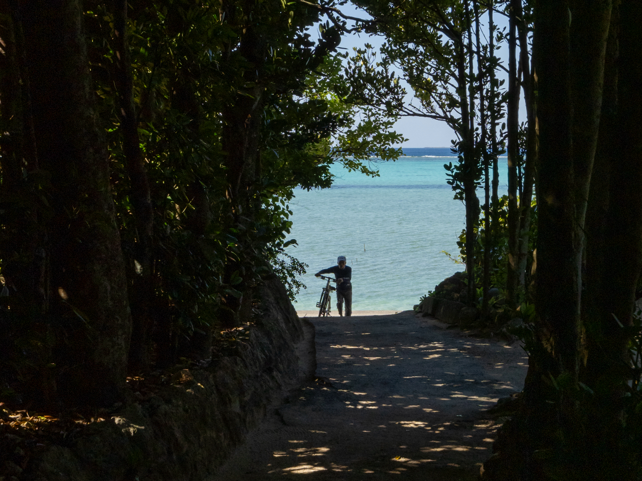 �t�N�M�̏o���ł͔����̊C���]�߂܂�