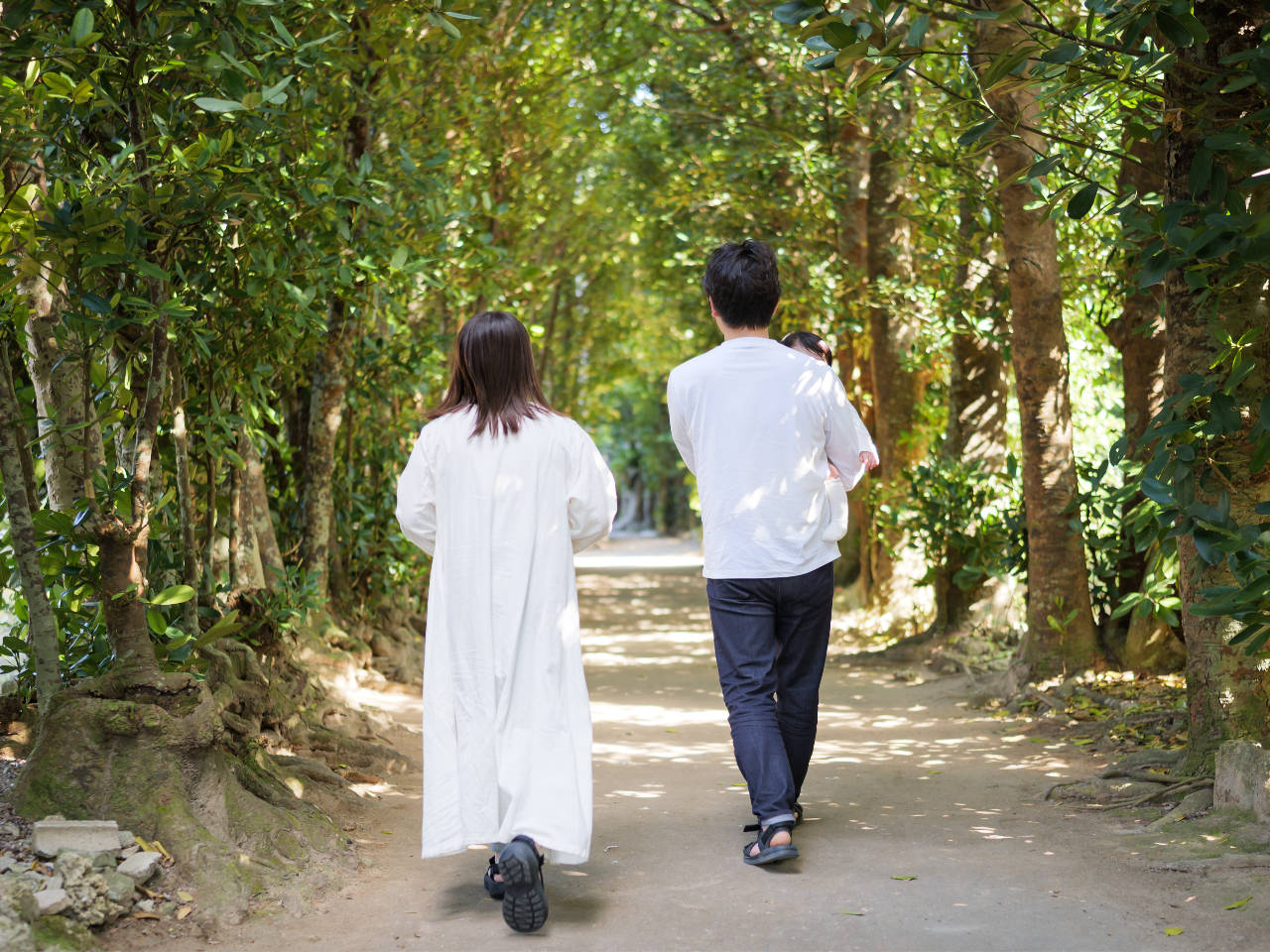 ����̌����i�t�N�M���؂����H�ɉ����ė΂̃g���l����i�݂܂��B�W���ɂ͏��X�ɋG�߂��Ƃ̉Ԃ��炢�Ă����肵�Ċy���܂��Ă���܂��B