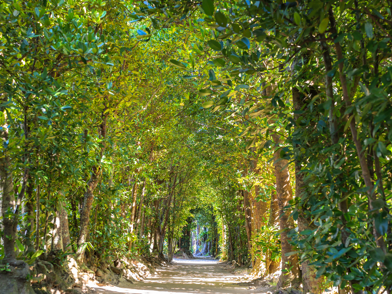 �����ɏZ��ł����l�������N���������Đ��ݏo�����������i�ςł��邱�Ƃɋ����܂��B�Г���1Km���̕��؂������Ă��܂��B