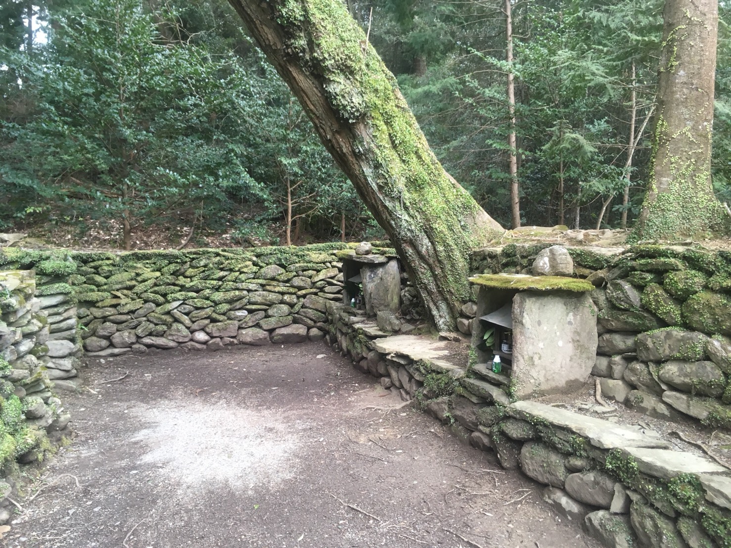 神社 神宮巡り 観光施設 名所巡り 遊び 体験 イーストとくしま観光推進機構
