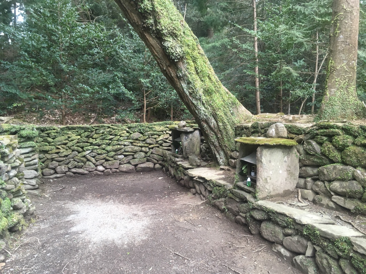 古代ユダヤの秘宝発見！？【神秘の祭殿】神明神社・白人神社　ガイド付き案内