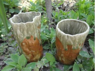 伊賀焼の色合いが人気です