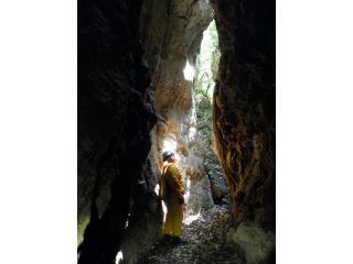 琉球の言葉で、ハンターは危険、バンは崖、ハンターバンの森は危険な崖のある森。深さ12mの岩の割れ目が迷宮のように入り乱れる日本唯一のカルスト地形。