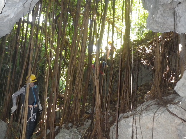 n^[o̐X́AMѐAŕĂBɃKW}̎͂̂Aʐ^̏ꏊ́ȂƂȂB̌iFƂȂĂB