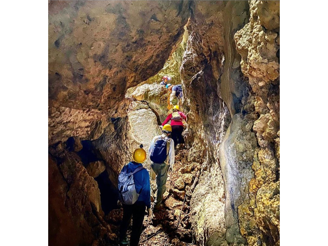 n^[o̐X̓́A12m̊̊ڂHƂȂAJ2ԕBrAAwbgALbvvASxg𒅗pAgbLO