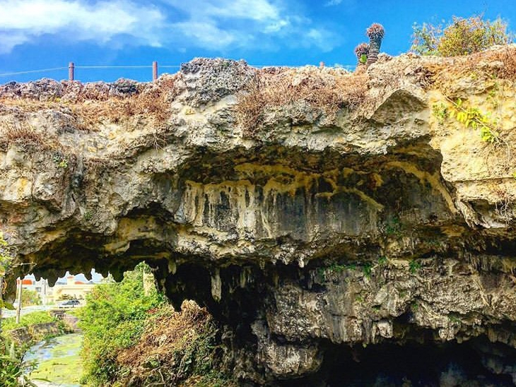 X^[g͔d́ủw₦vA5œVRuni_[vɓBߓċɂȂ́AR̗AL̗YɕCGBwVLO