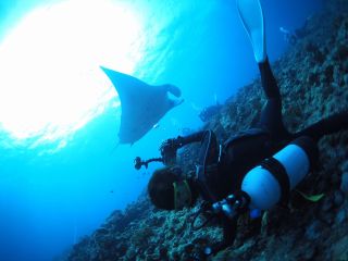 沖縄 石垣島 マンタに会いに行く 体験ダイビング半日コース 午前 午後 ダイビングベース石垣島 じゃらん遊び体験