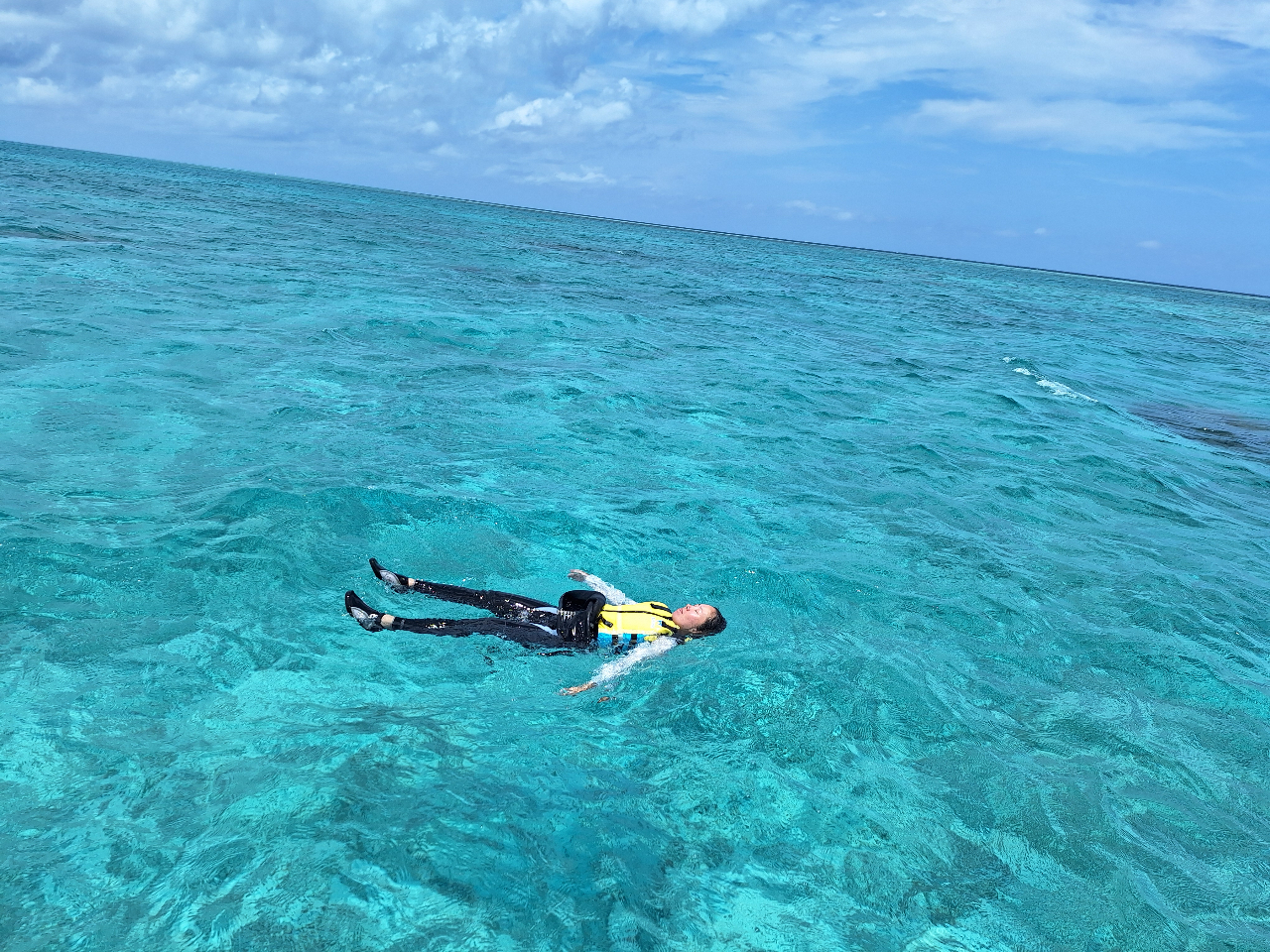 ������Ƌx�e�I�C�C���������[�I���r�W�L���C�I