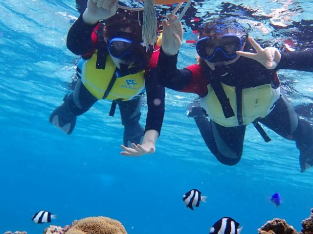 色々なお魚に会えるー!