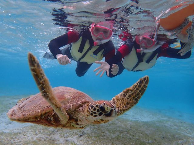 海の中は楽しいねー!