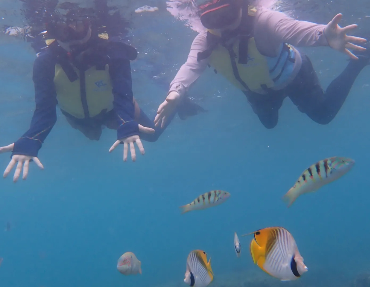 海キレイ楽しいー!