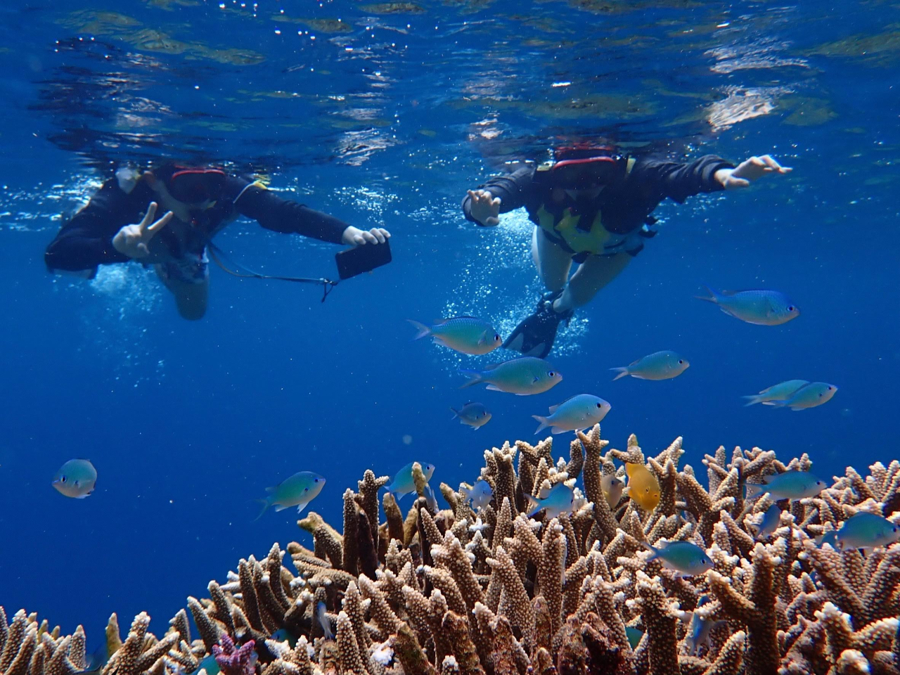 �X�肪�L���C�I�������߂��I