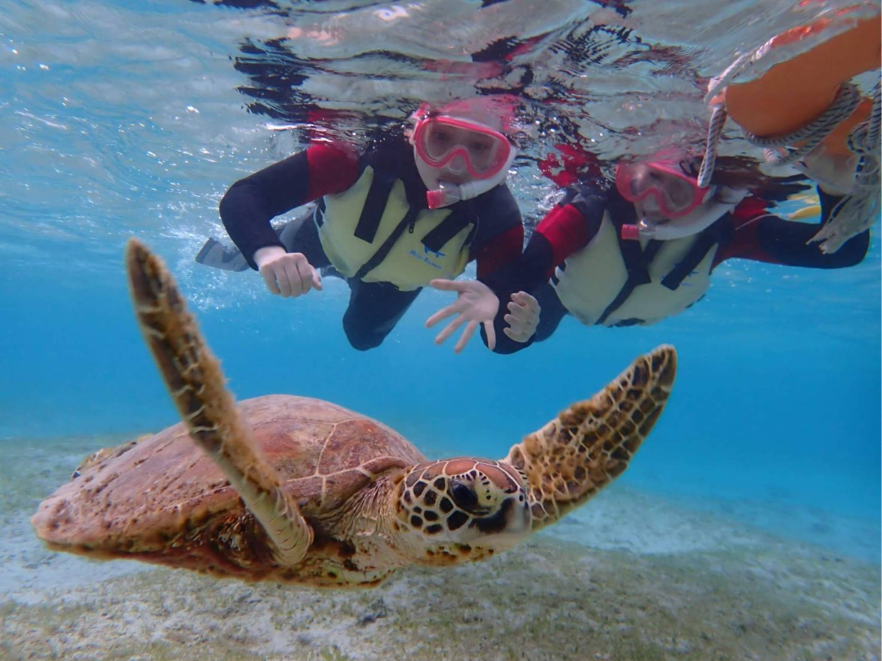 �V���m�[�P�����߂Ăł����v�I