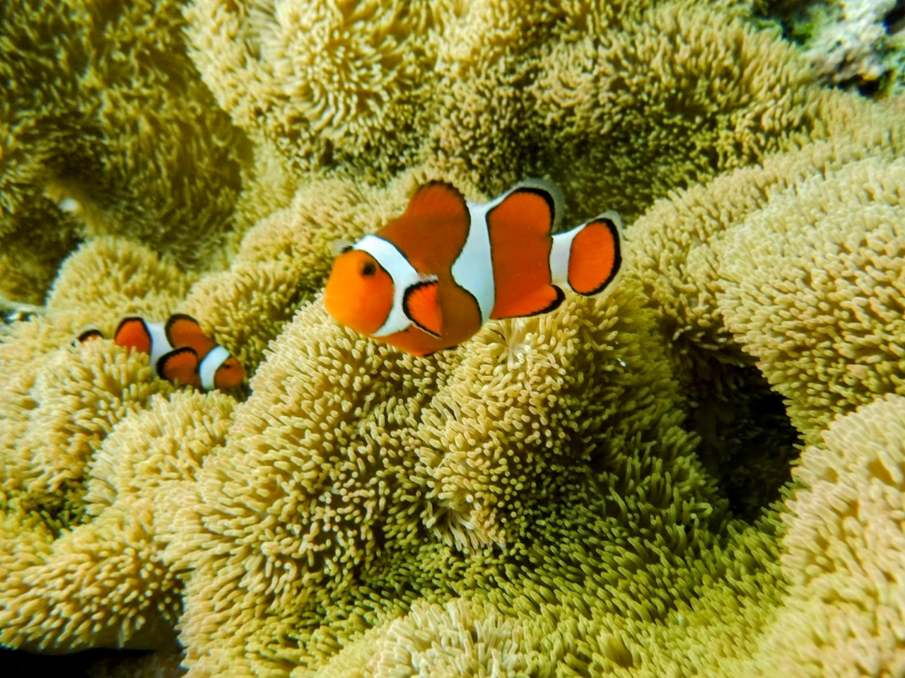 �C�̒��͊y�����I