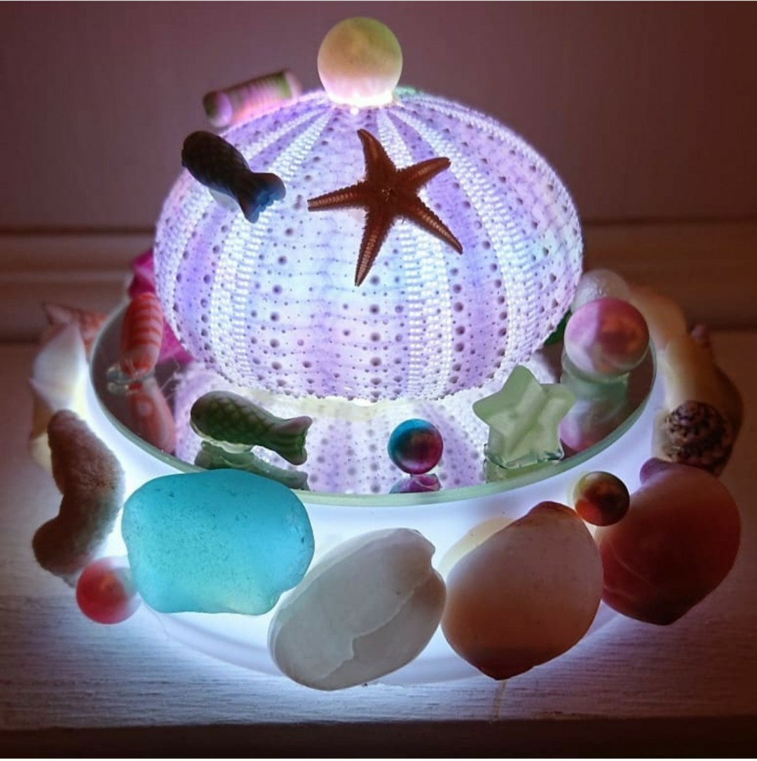 おきなわワールド内ショップ ウニ殻を使ったランプ作り体験 夏休みの工作にピッタリ 海のアクセサリー やまに じゃらん遊び体験