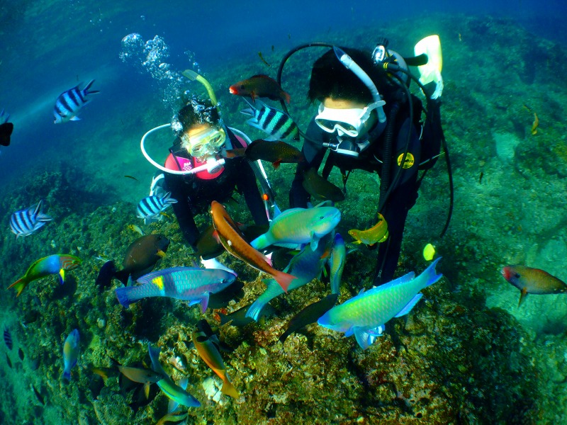 at炽̋Ƃ̂ӂꂠ^C҂Ă܂!!at[r[v[g!!