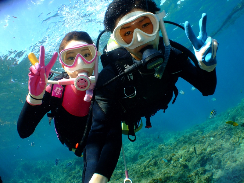 IufށvlC̃q~c!! v[g̐ʐ^̃NIeBN̎voc܂