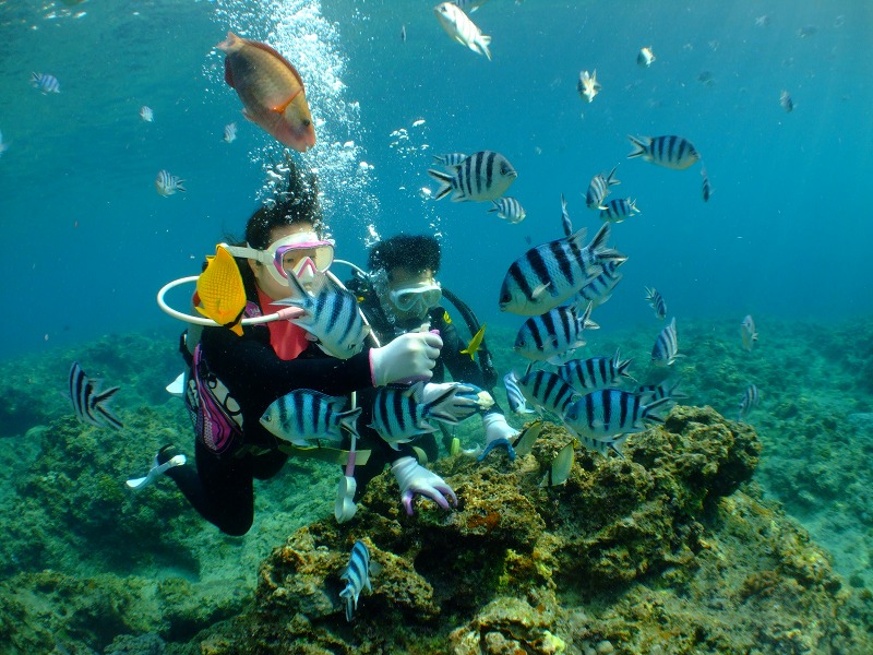 ���킢�����Ƃӂꂠ����a�t�������̌��o���܂���!!