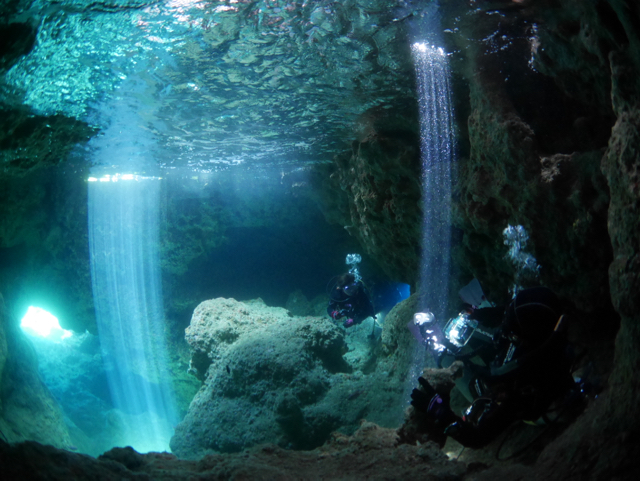 �Ă̌������ɂȂ�I���̒����j���ł݂悤�`�I