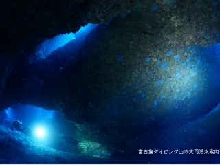 他では味わえないダイナミック「ジオダイブ」